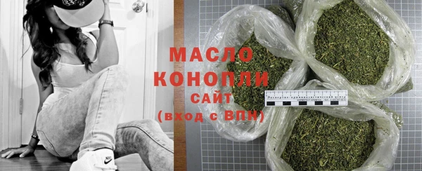 молекула духа Арсеньев