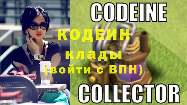 прущие грибы Армянск
