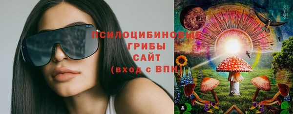 спиды Алексеевка