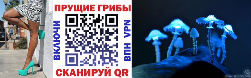 MEGA зеркало Данилов Галлюциногенные грибы ЛСД